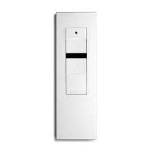 Télécommande BHZ 1 canal