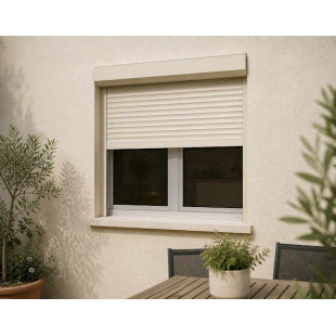 volet rénovation RAL 1015