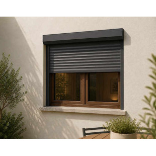 Volet rénovation marron