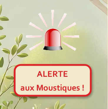 Alerte moustiques